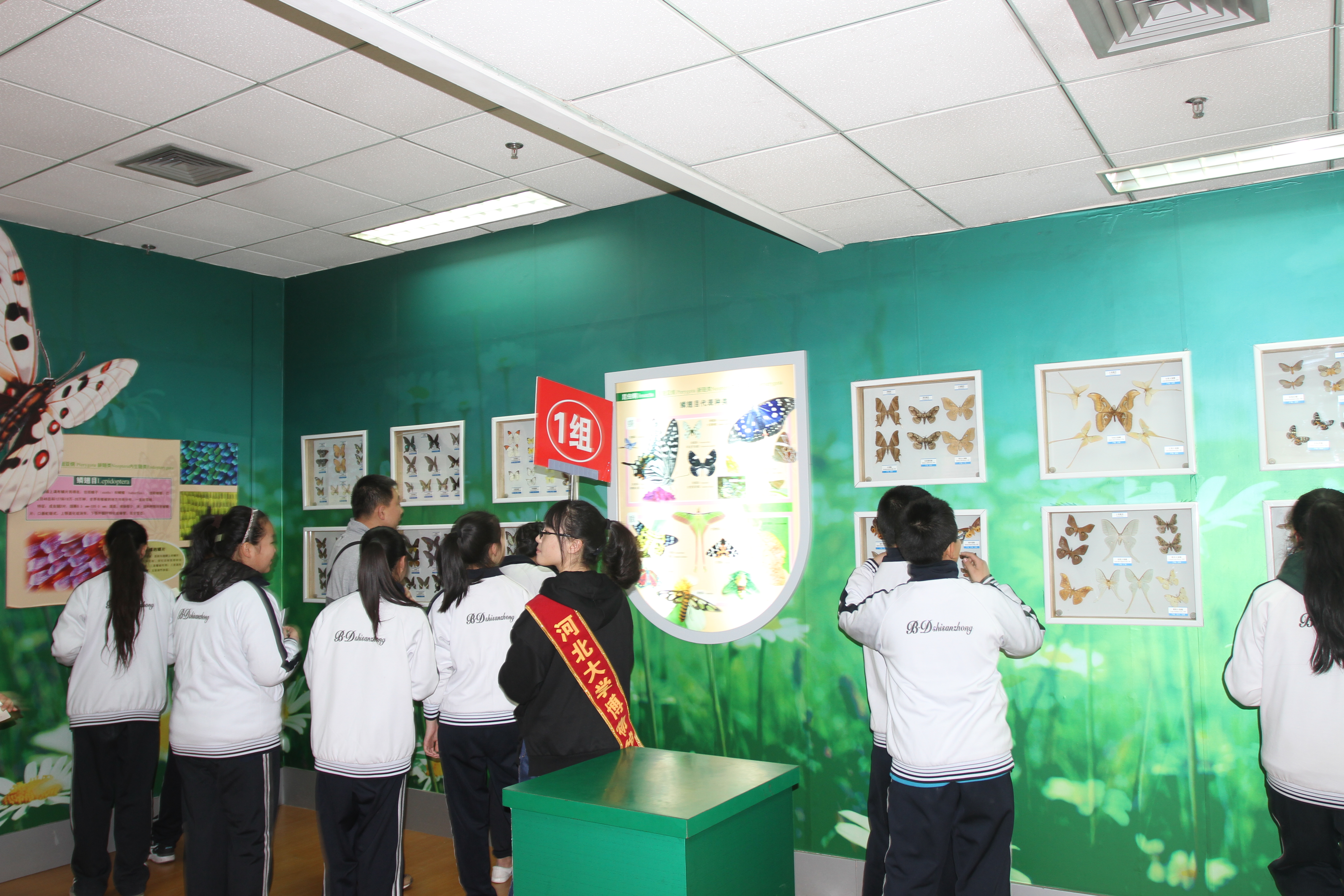 20170322博物馆志愿者正在引领参观者观看蝴蝶展览